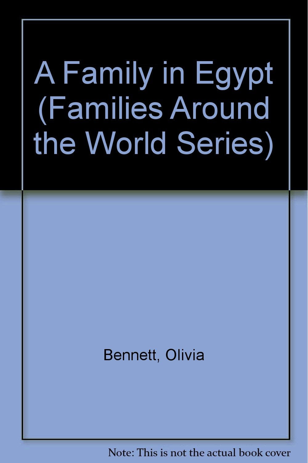 A Family in Egypt (Families Around the World Series),Used