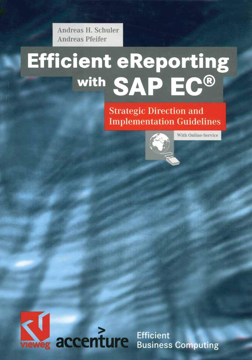 Efficient eReporting with SAP EC: Strategic Direction and Implementation Guidelines (XEfficient Business Computing),Used
