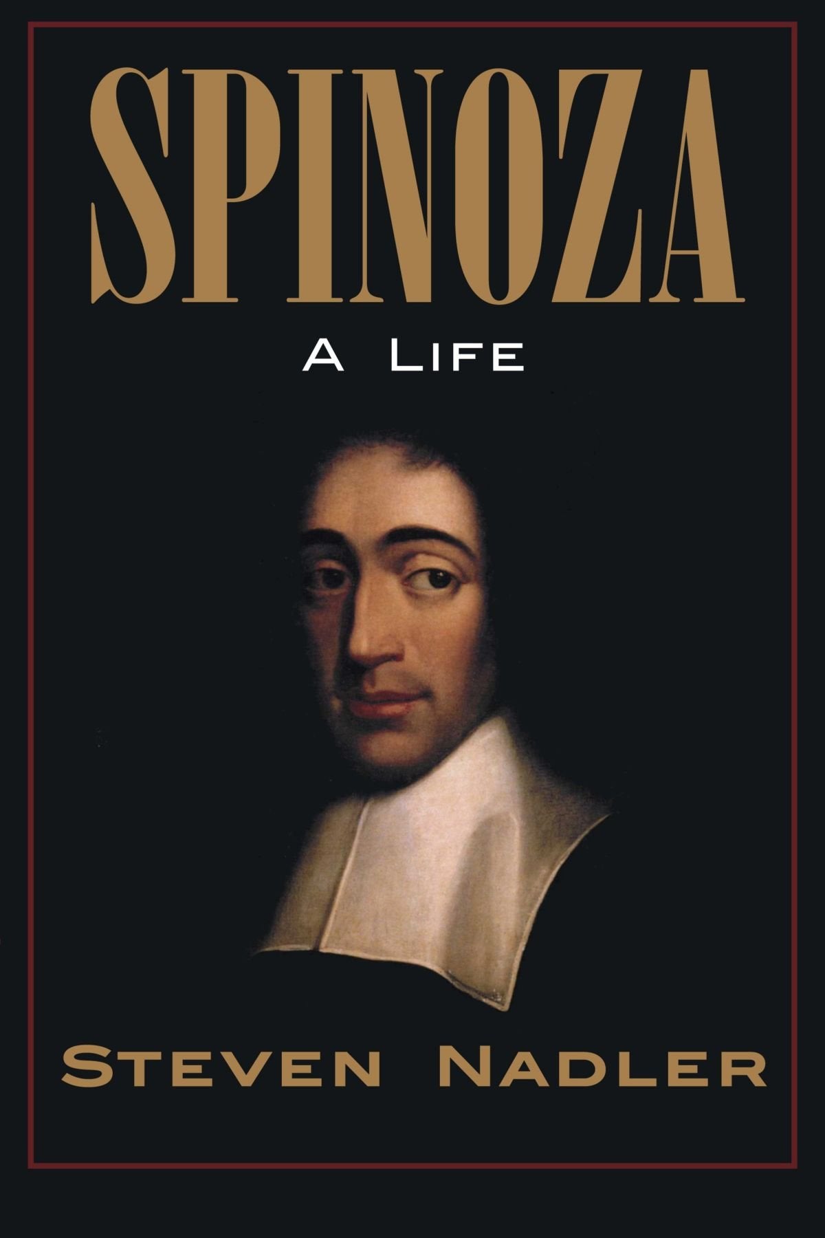 Spinoza: A Life,Used