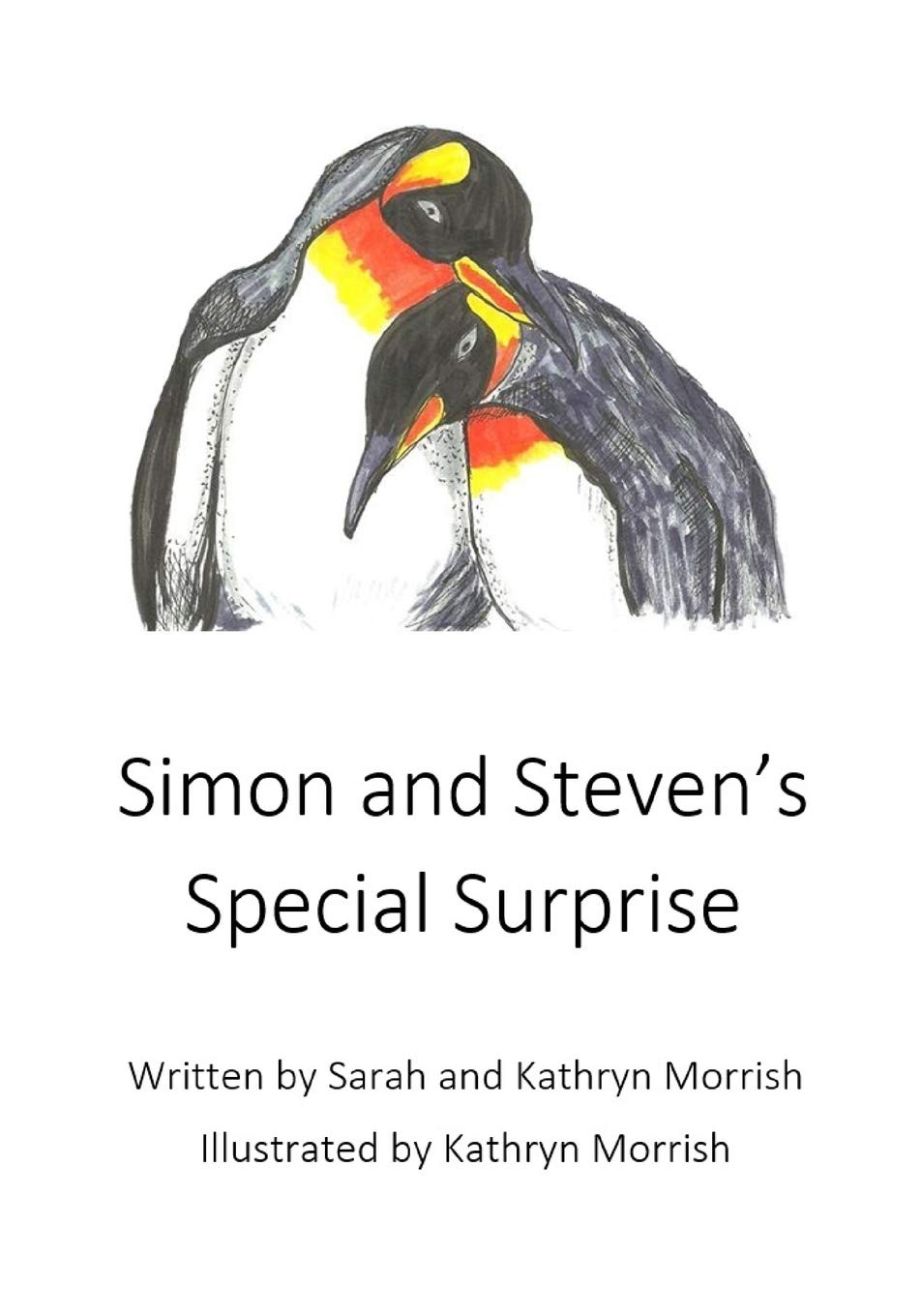 Simon and Steven's Special Surprise,Used
