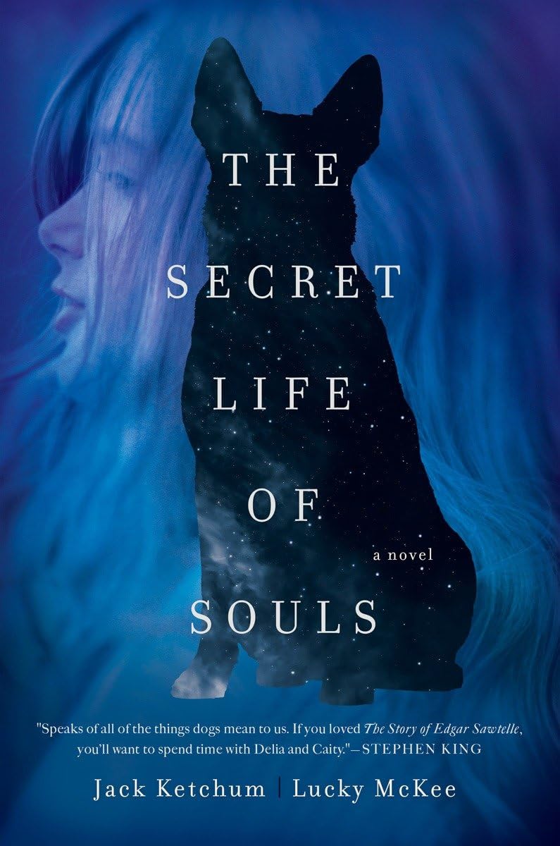 The Secret Life of Souls: A Novel,Used