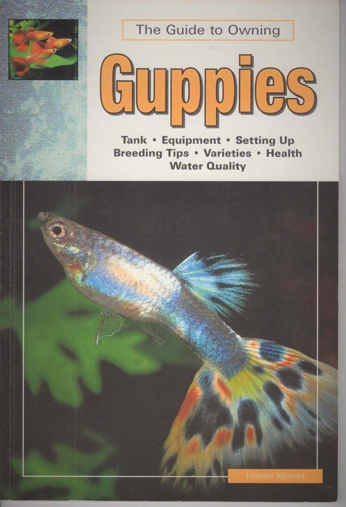 The Guide To Owning Guppies,Used