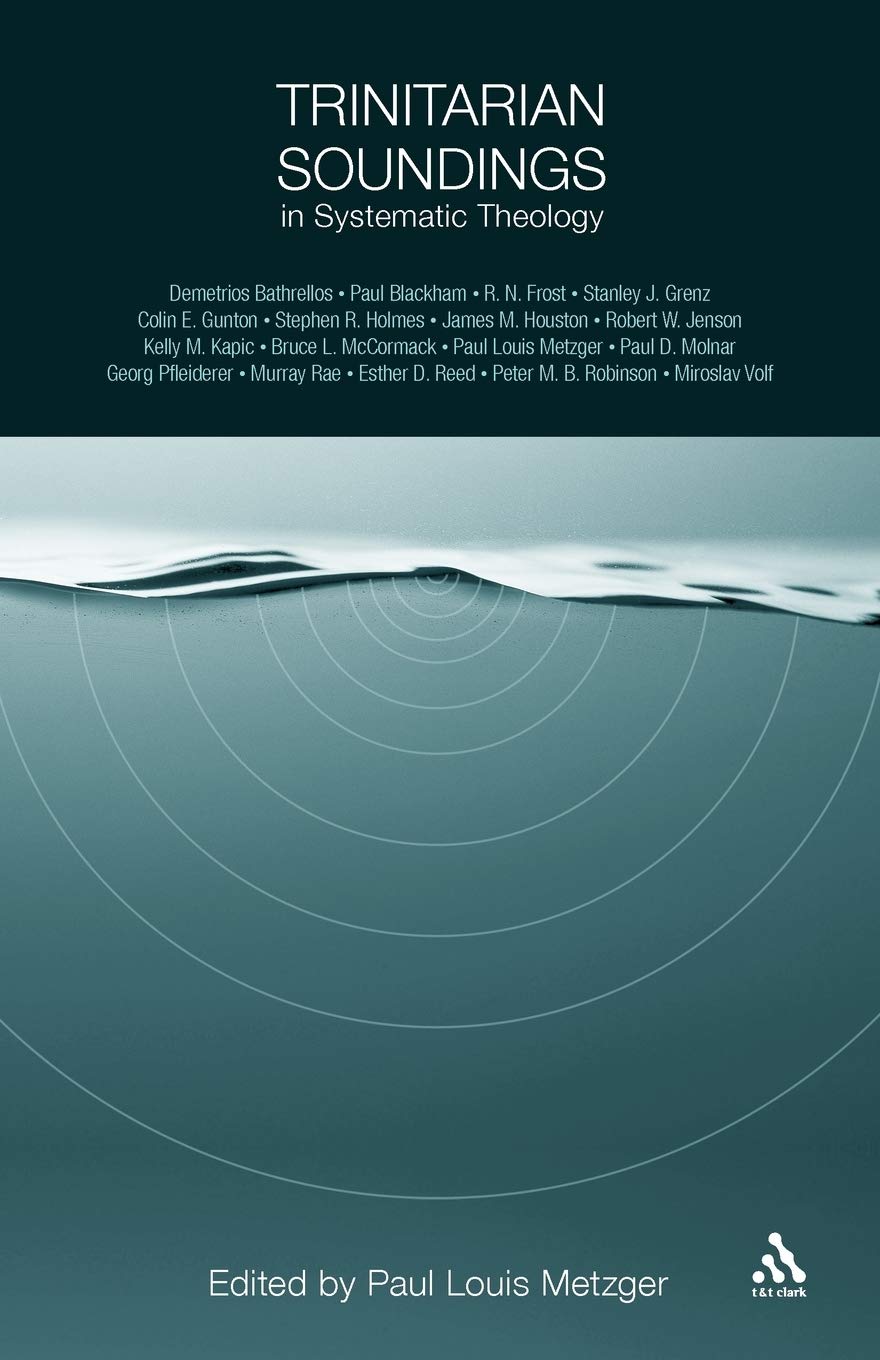 Trinitarian Soundings in Systematic Theology,Used