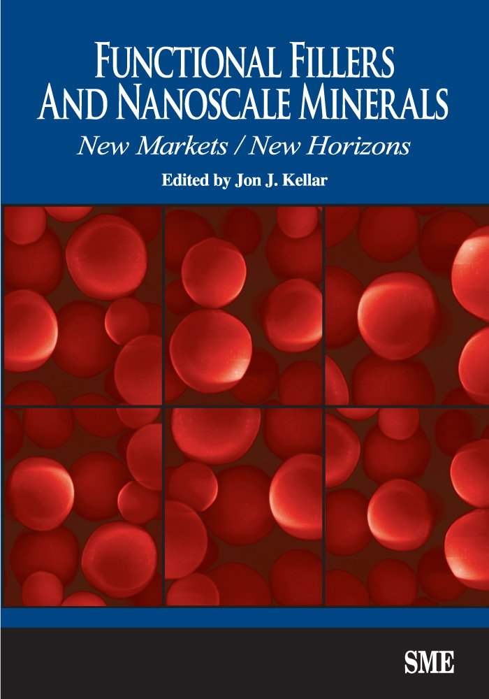 Functional Fillers And Nanoscale Minerals: New Markets/New Horizons,Used
