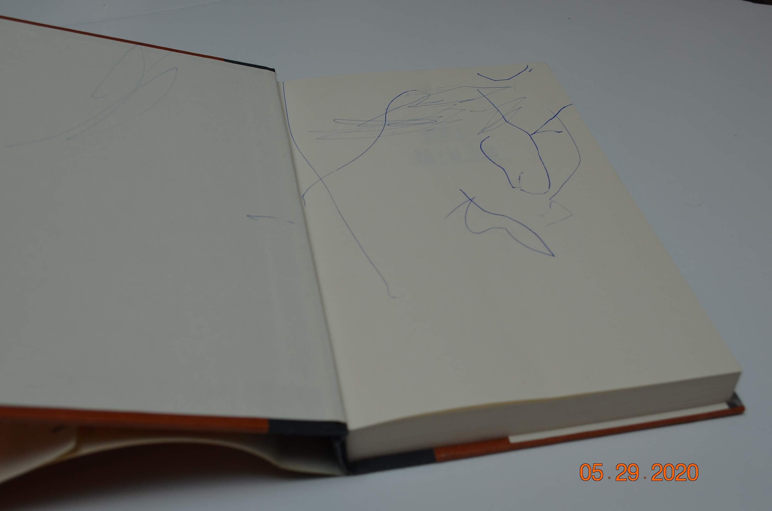 Off Minor: A Charlie Resnick Mystery,Used
