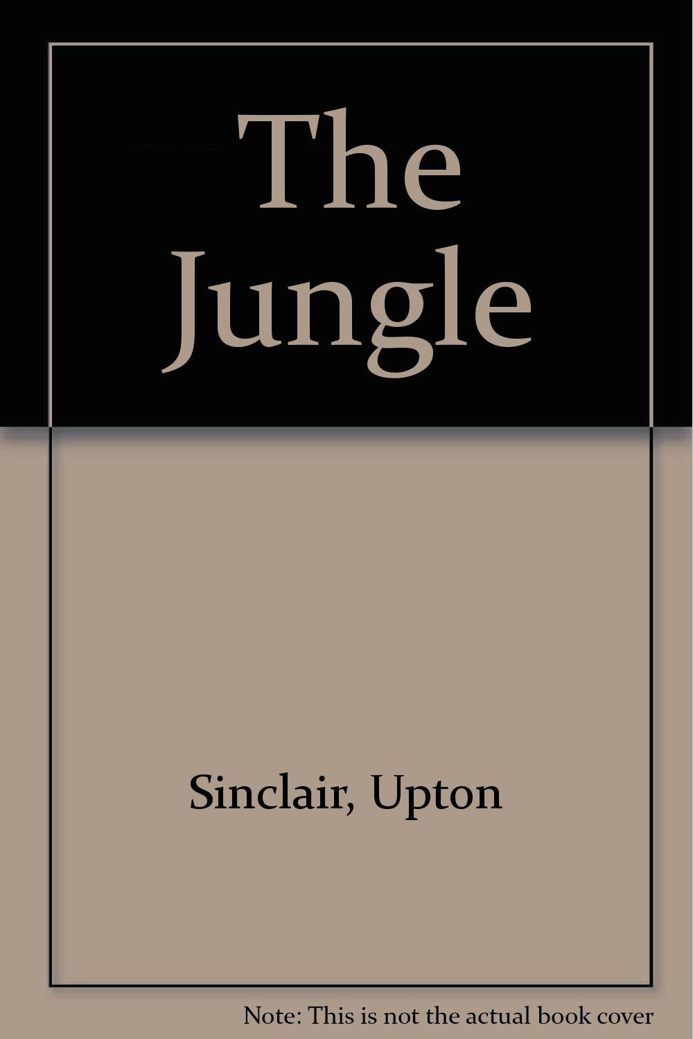 The Jungle,New