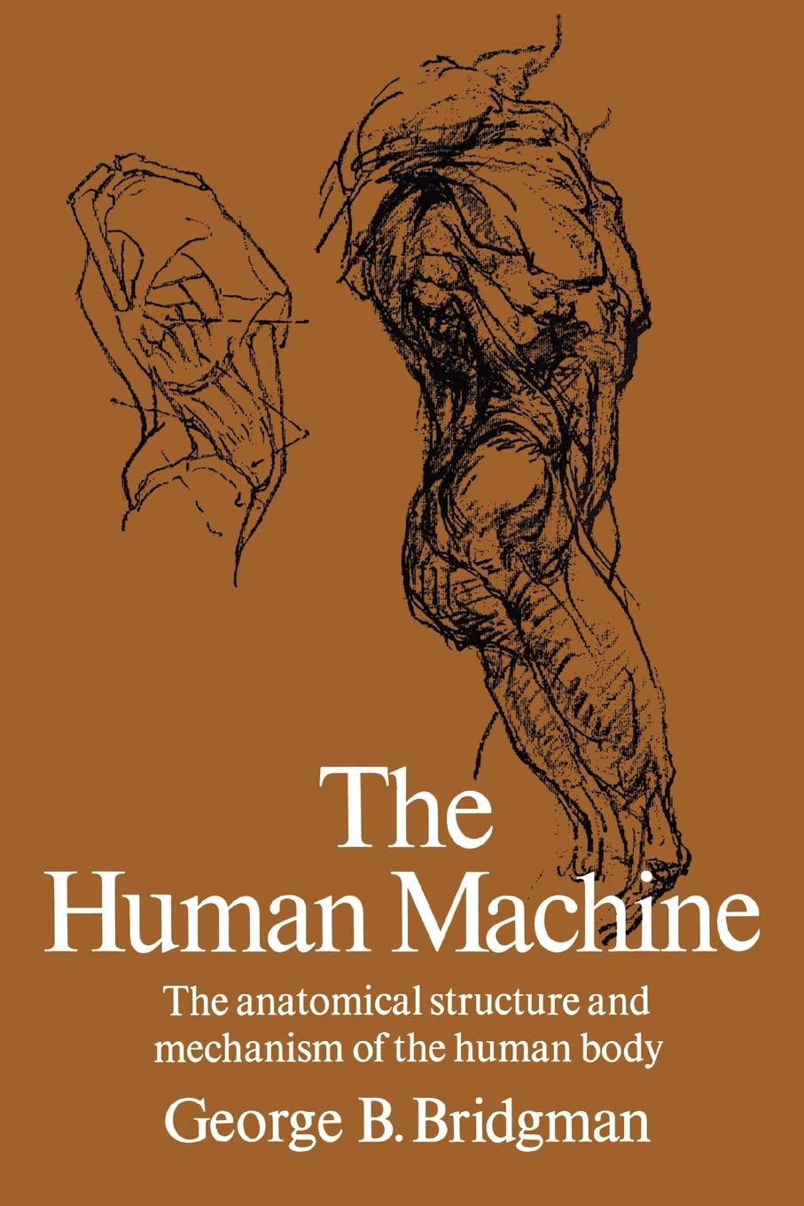The Human Machine (Dover Anatomy For Artists)