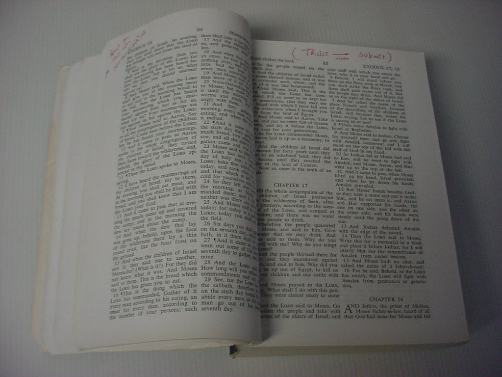Holy Bible: From the Ancient Eastern Text: George M. Lamsa's Translation From the Aramaic of the Peshitta,Used