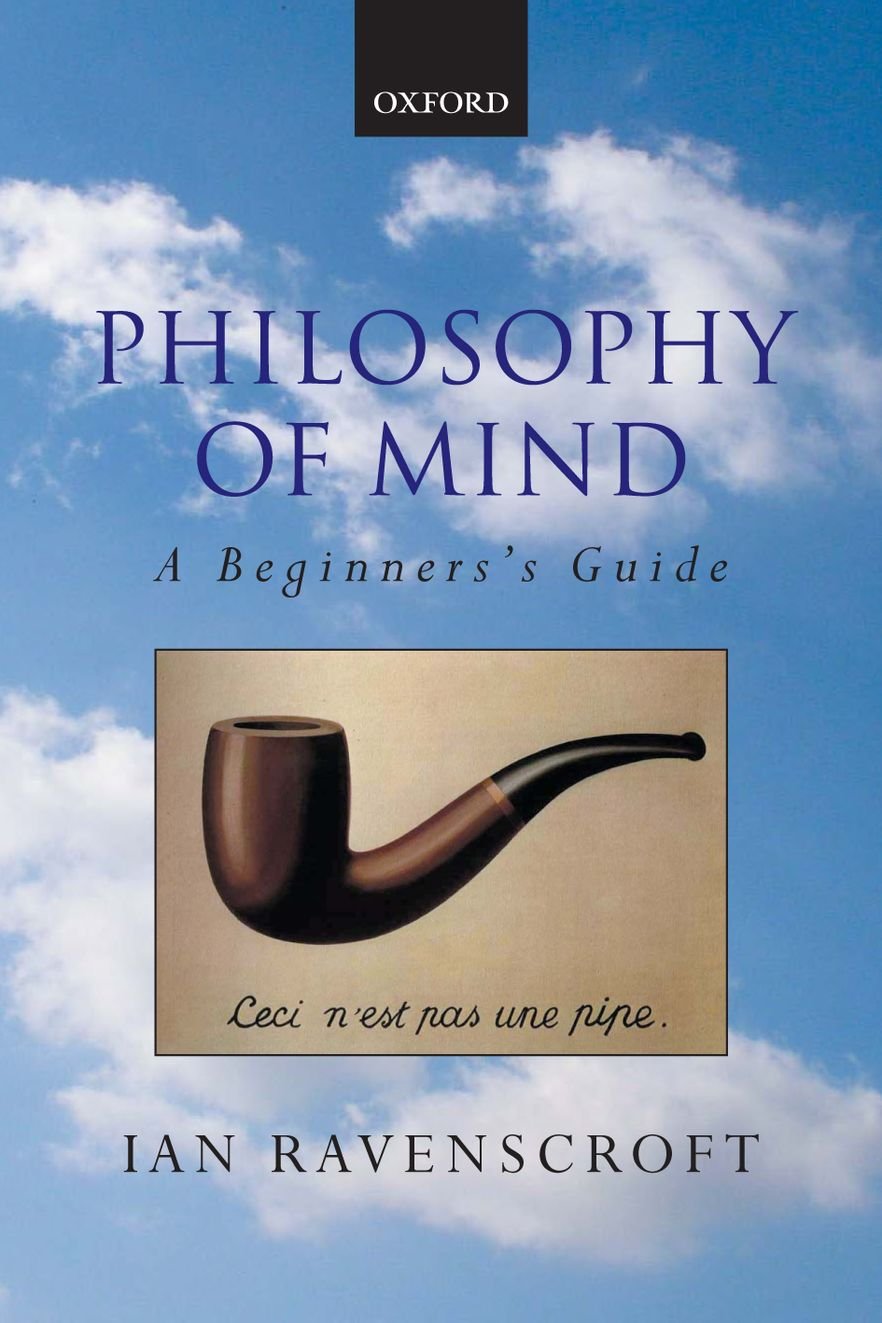 Philosophy of Mind: A Beginner's Guide,Used