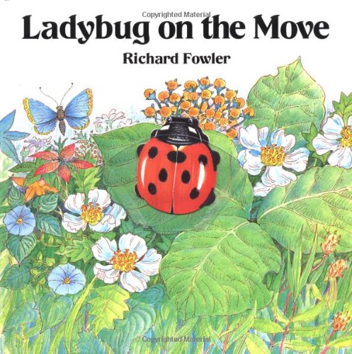 Ladybug On The Move