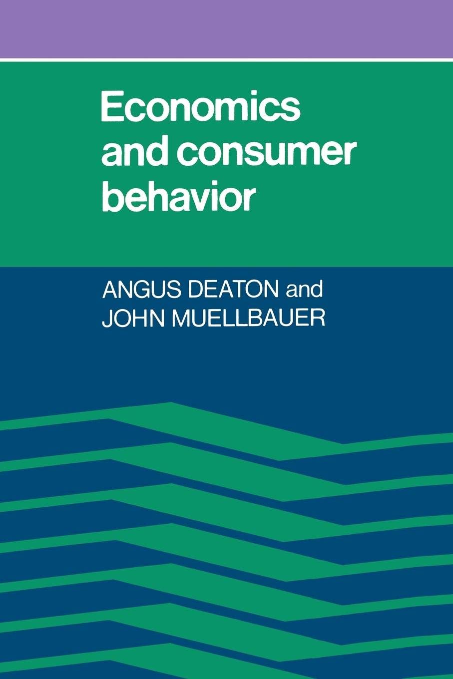 Economics and Consumer Behavior,Used