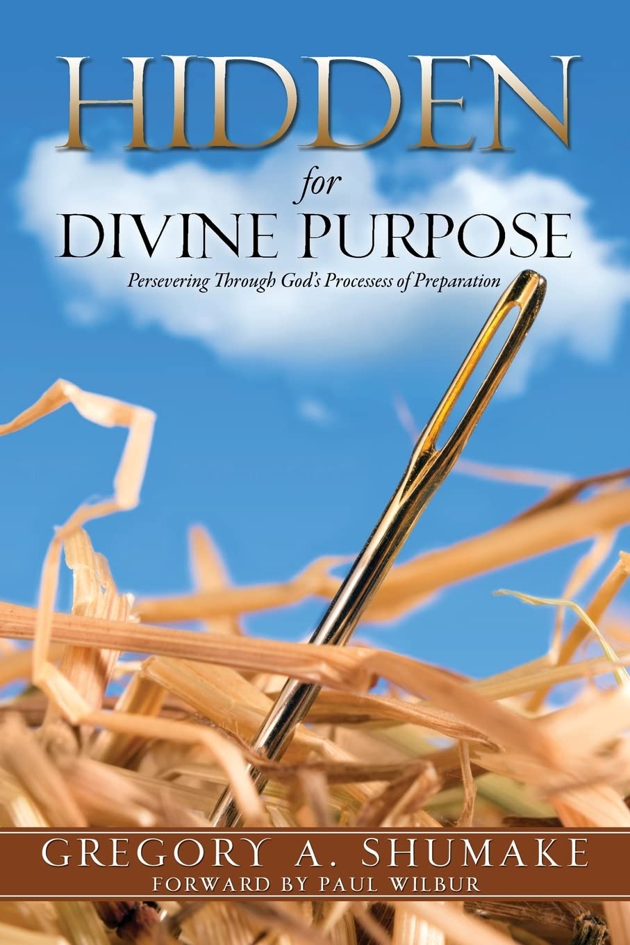 Hidden For Divine Purpose,Used