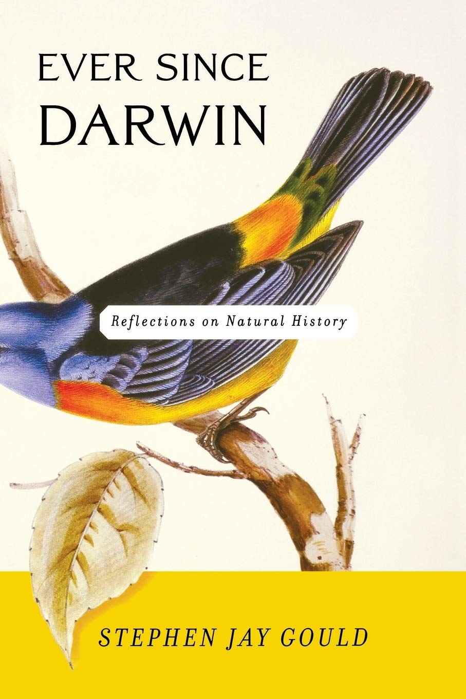 Ever Since Darwin: Reflections in Natural History,Used