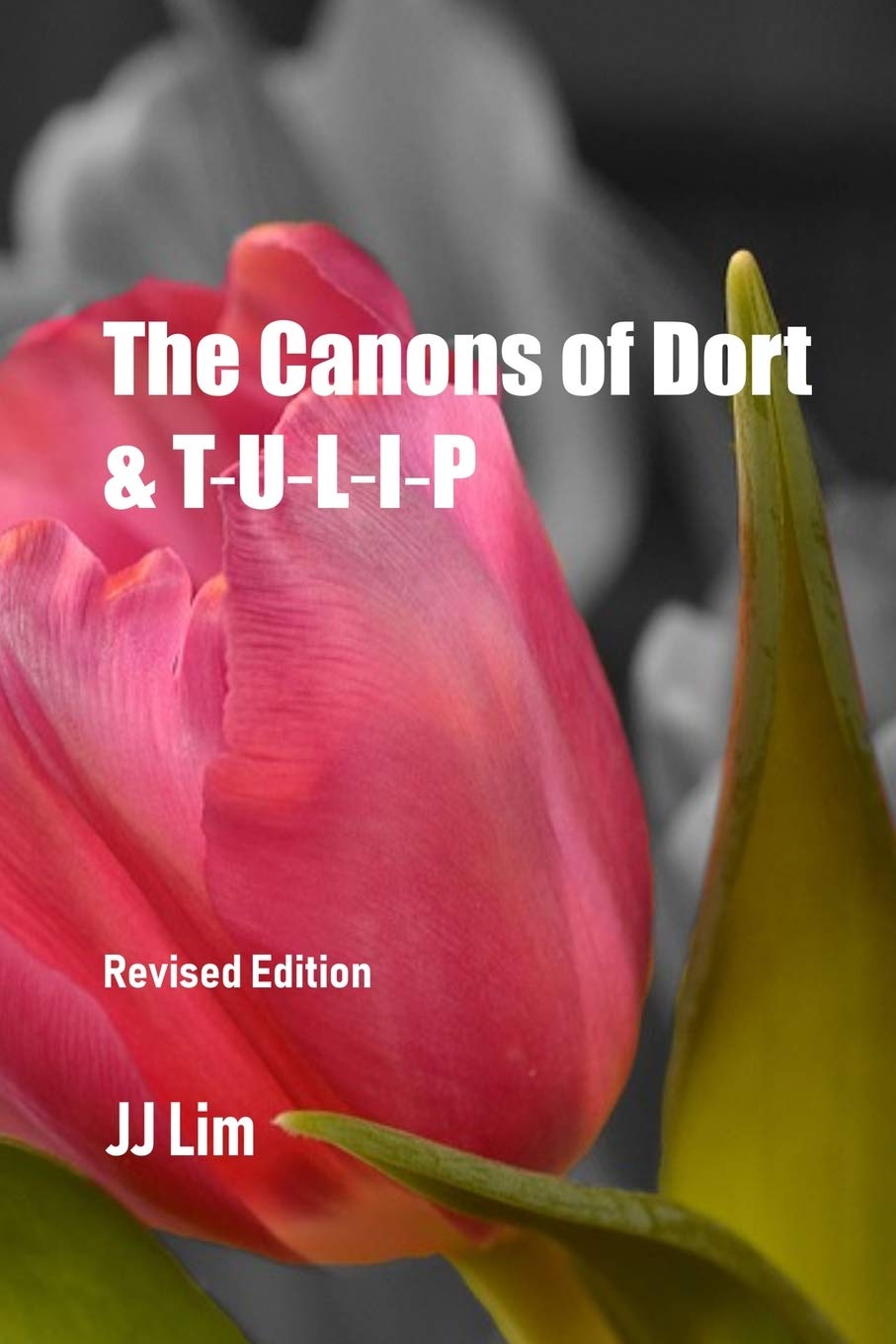 The Canons of Dort & TULIP,New