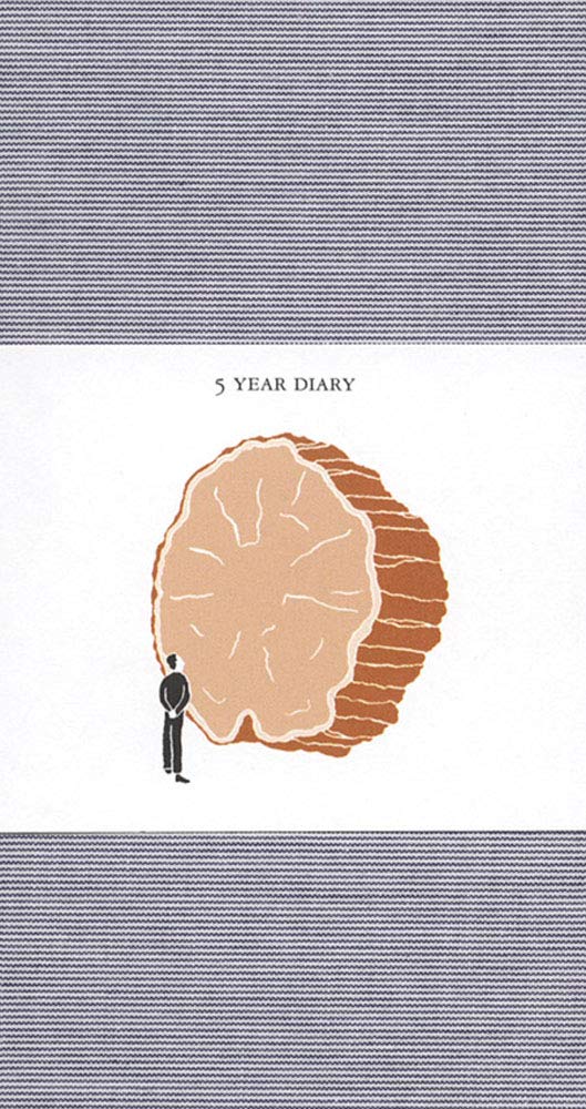 5 Year Diary: Blue Cover,Used