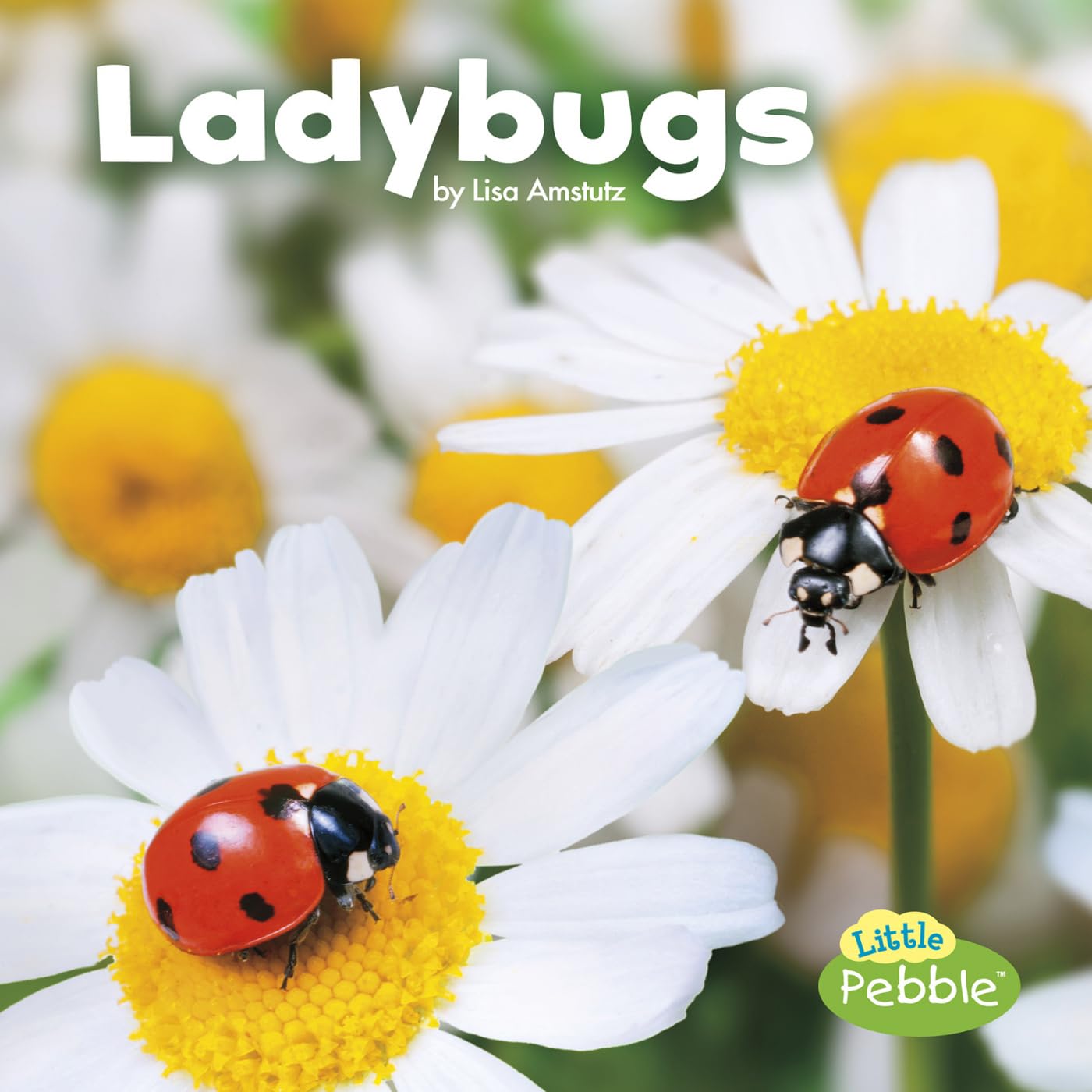 Ladybugs (Little Pebble: Little Critters),Used