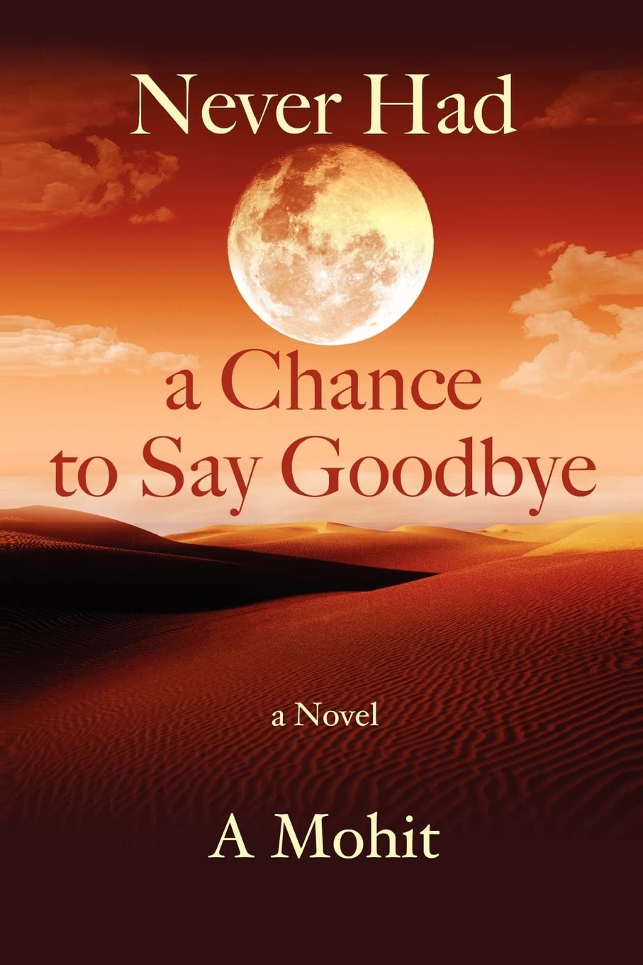 Never Had A Chance To Say Goodbye,Used