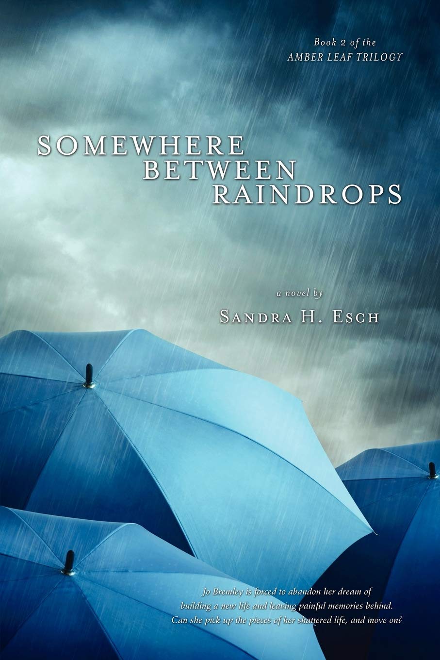 Somewhere Between Raindrops,Used