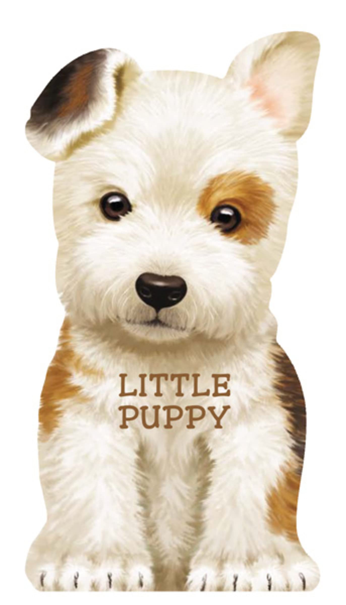 Little Puppy: A Mini ReadAloud Board Book for Babies and Toddlers (Mini Look at Me Books),Used