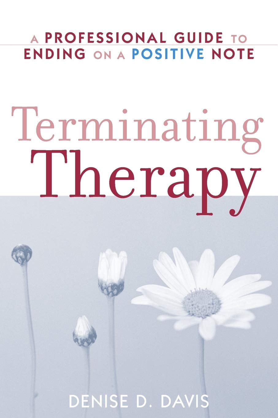 Terminating Therapy: A Professional Guide to Ending on a Positive Note,Used