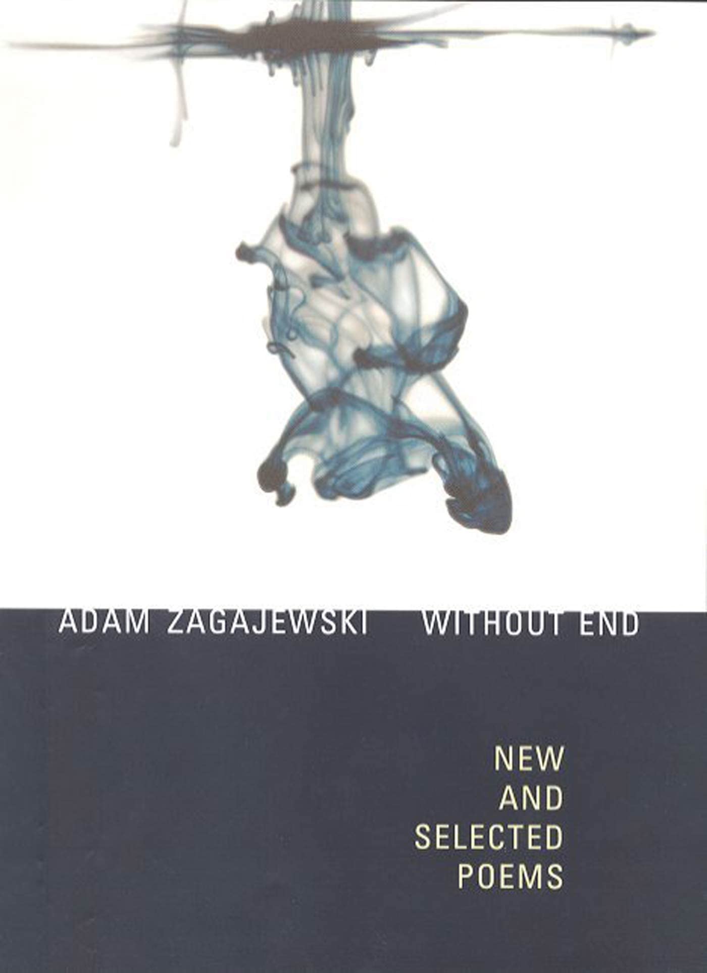 Without End: New and Selected Poems,Used