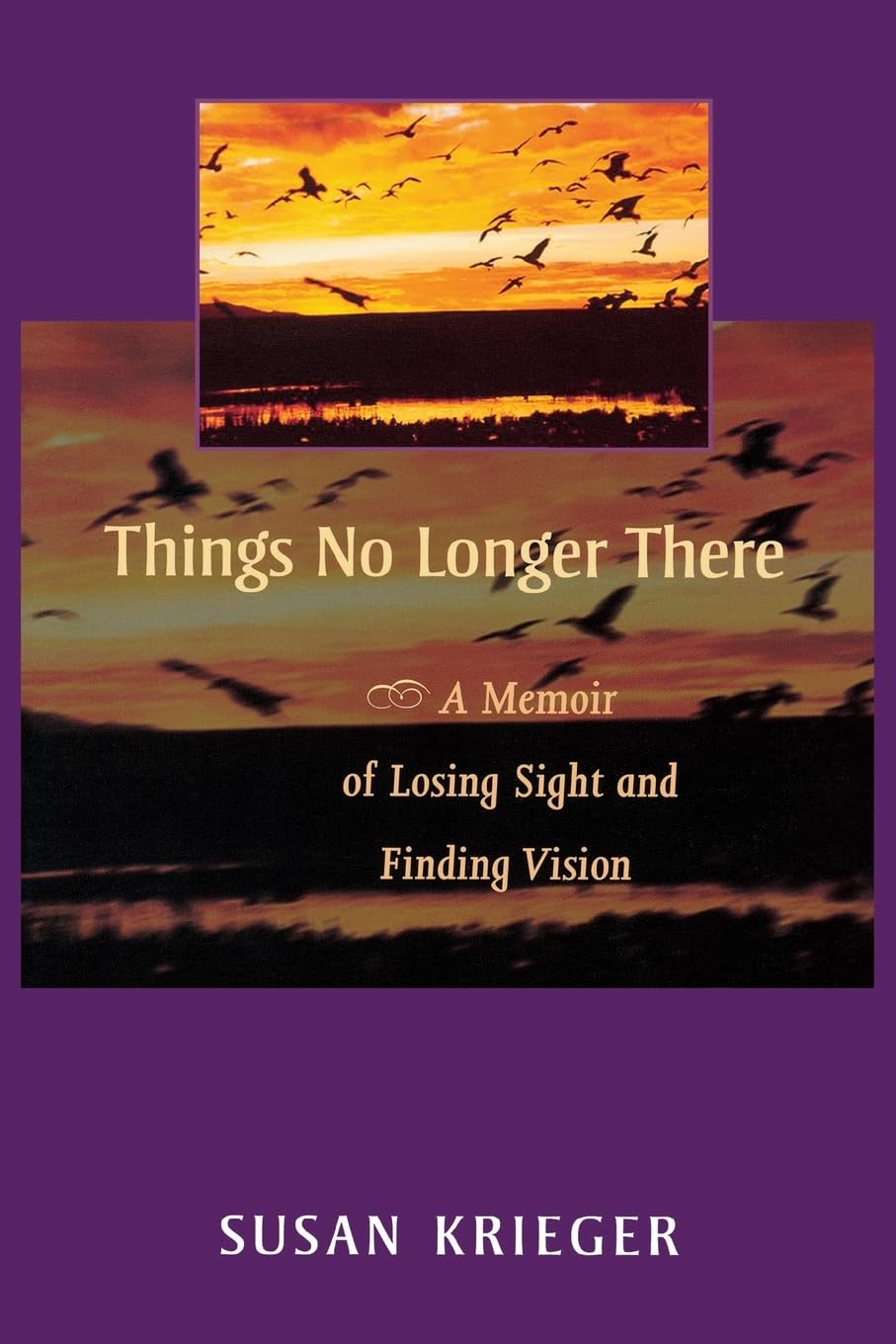 Things No Longer There: A Memoir of Losing Sight and Finding Vision,Used