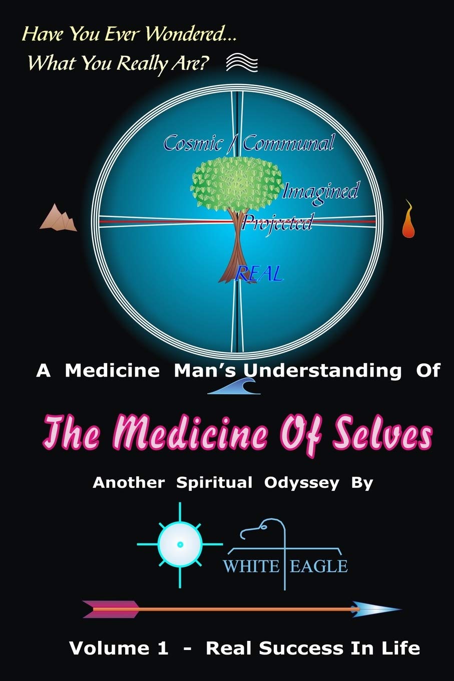 The Medicine Of Selves  Vol. 1: How To Realize Real Success In Life,Used