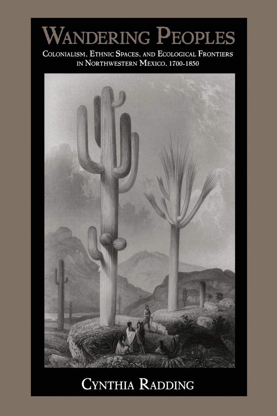 Wandering Peoples: Colonialism, Ethnic Spaces, and Ecological Frontiers in Northwestern Mexico, 17001850 (Latin America Otherwi,Used