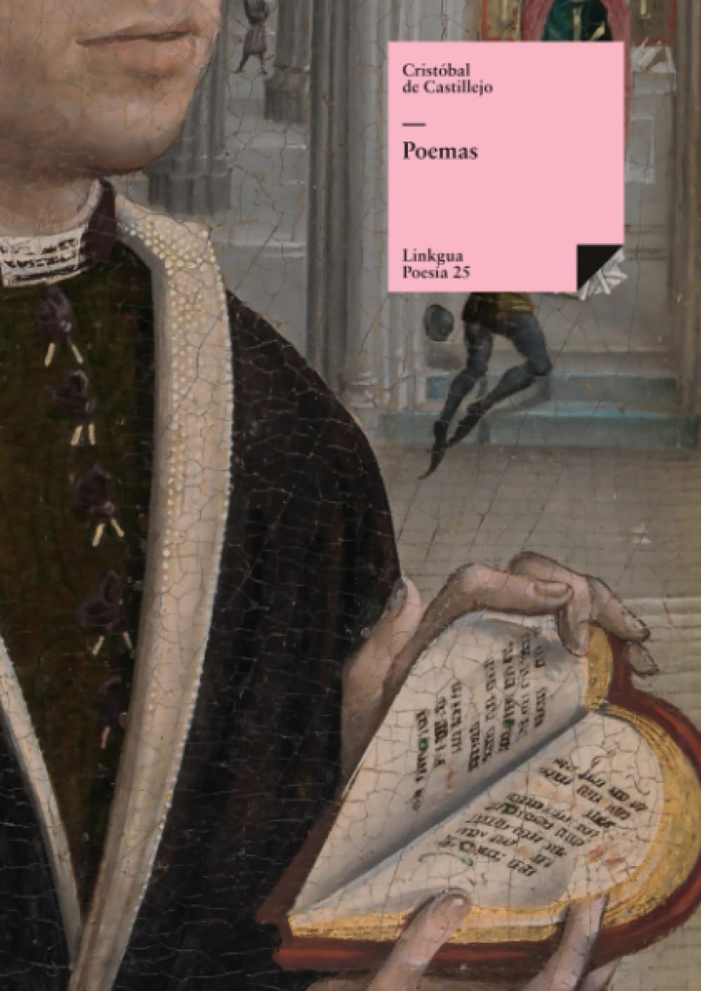 Poemas: Breve seleccin (Poesa) (Spanish Edition),Used