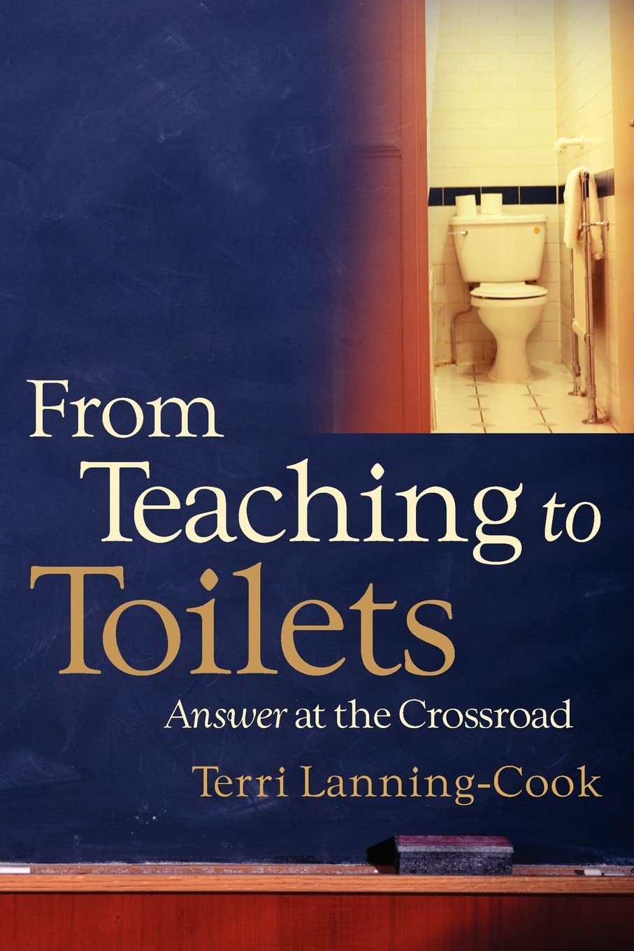 From Teaching to Toilets,Used