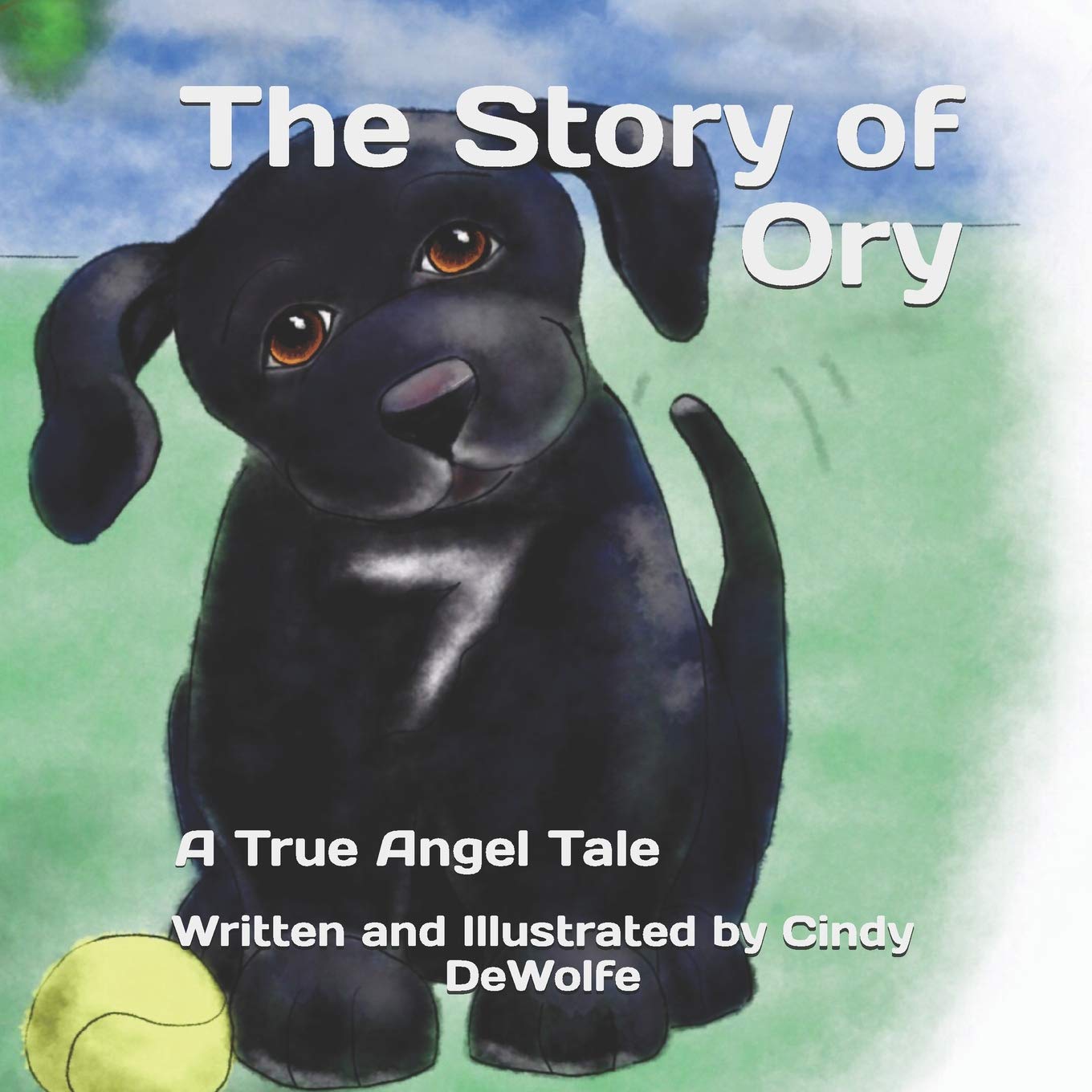 The Story of Ory: A True Angel Tale,Used