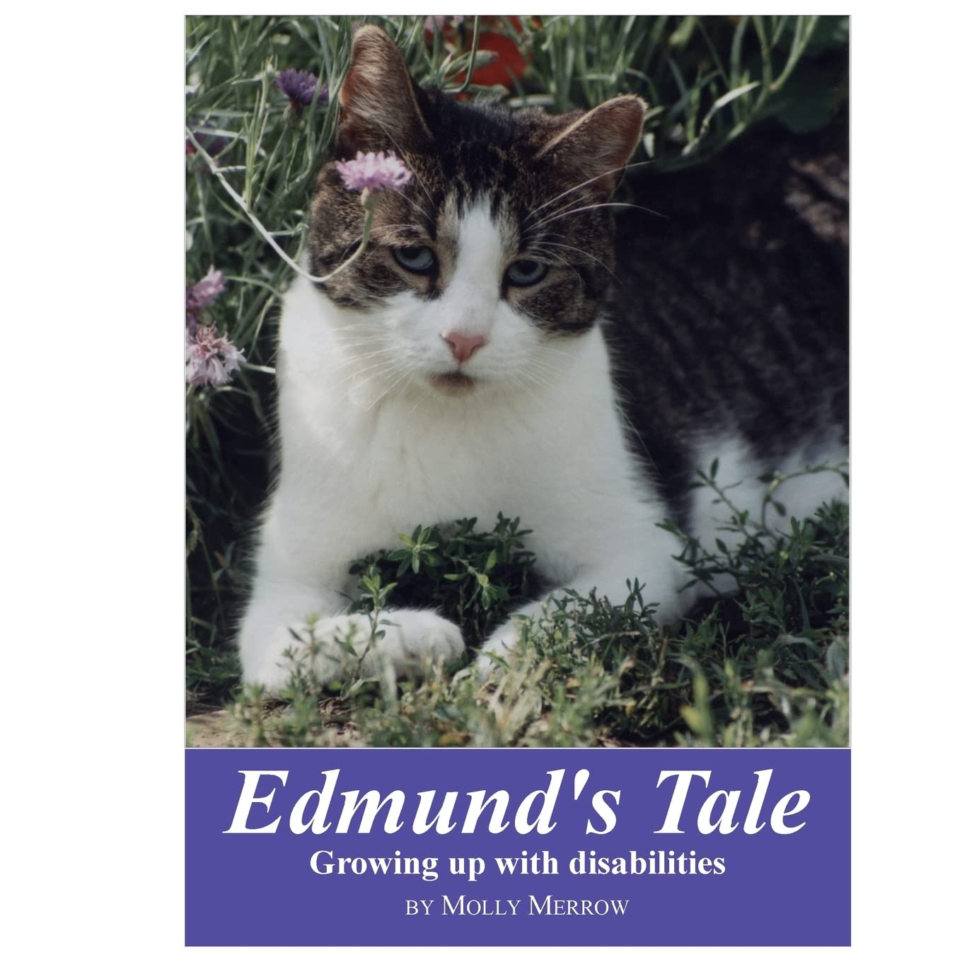 Edmund's Tale: Growing up with disabilities,Used