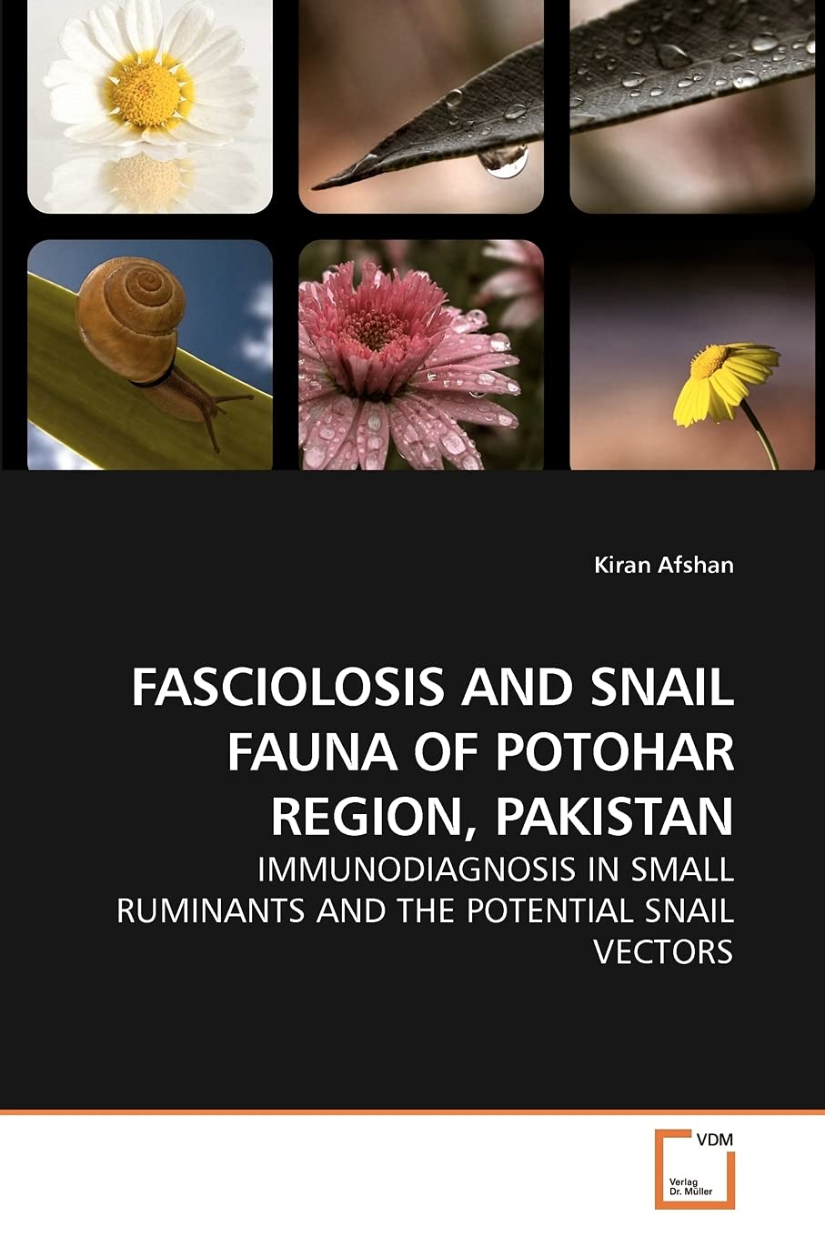FASCIOLOSIS AND SNAIL FAUNA OF POTOHAR REGION, PAKISTAN: IMMUNODIAGNOSIS IN SMALL RUMINANTS AND THE POTENTIAL SNAIL VECTORS,Used