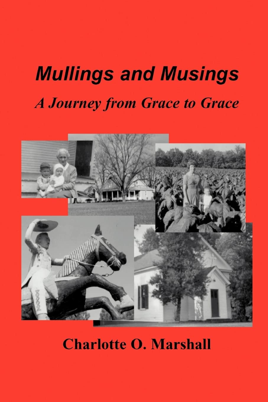 Mullings and Musings: A Journey from Grace to Grace,Used