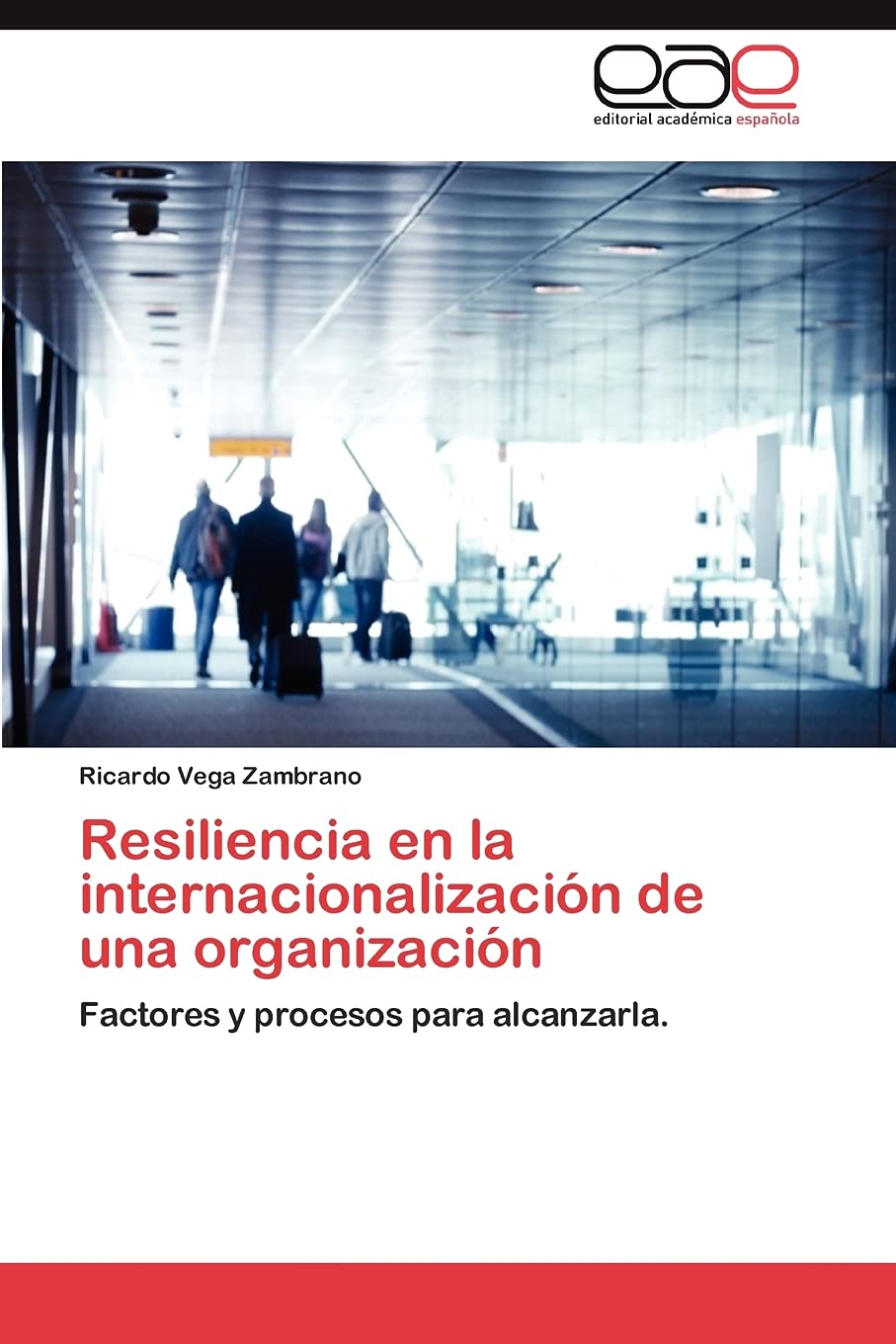 Resiliencia en la internacionalizacin de una organizacin: Factores y procesos para alcanzarla. (Spanish Edition),Used
