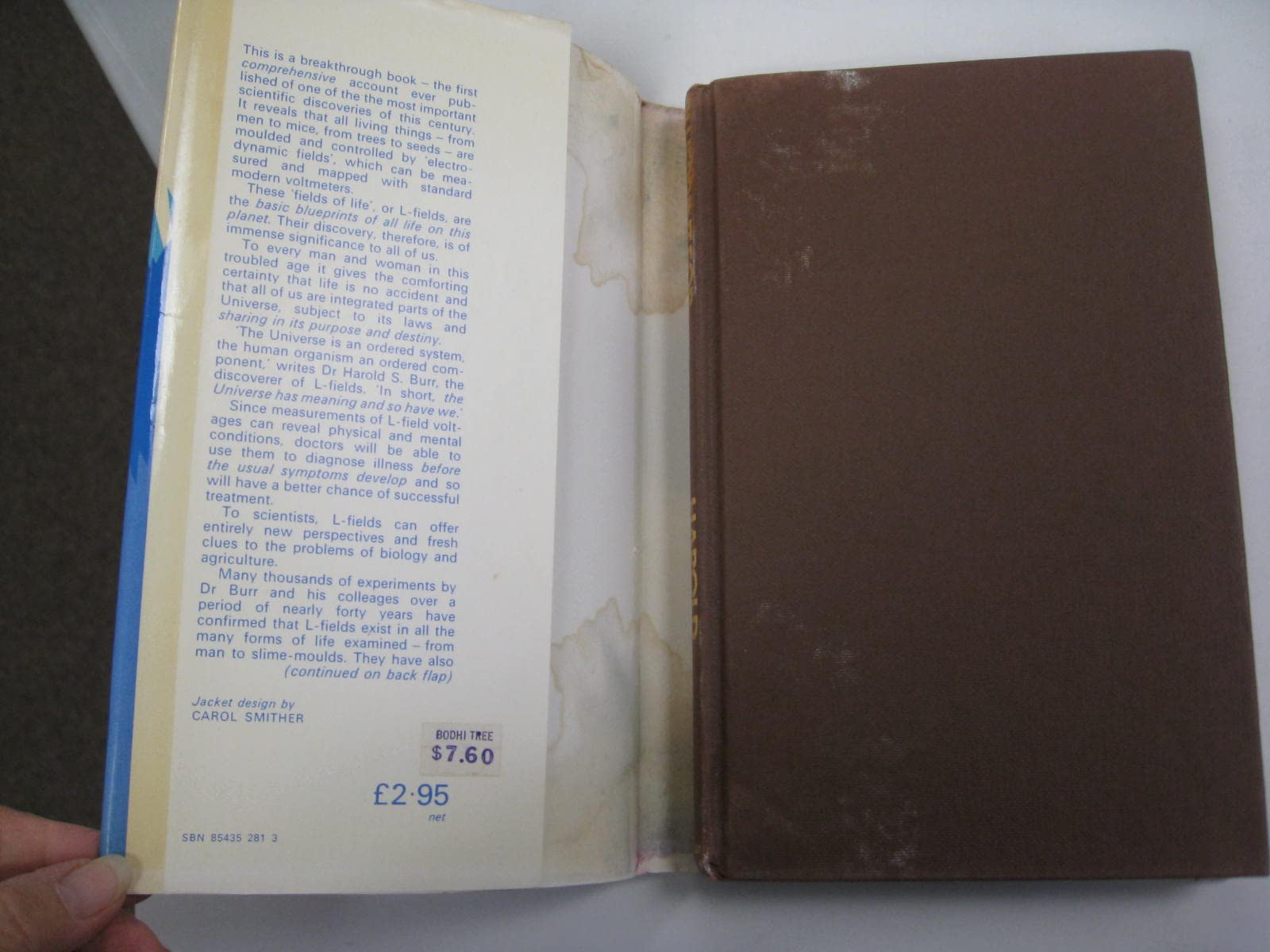 Blueprint for Immortality,Used