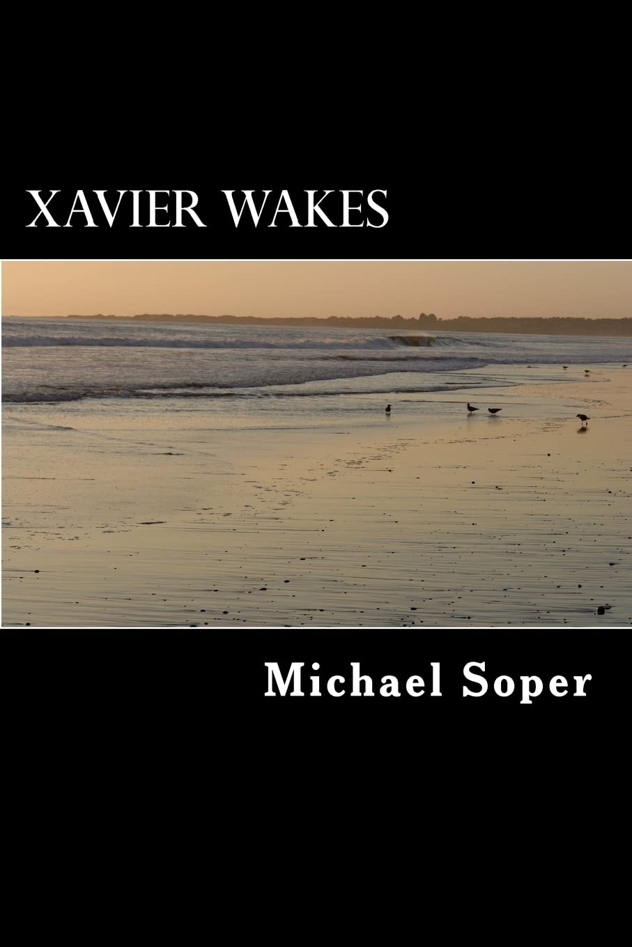 Xavier Wakes,Used