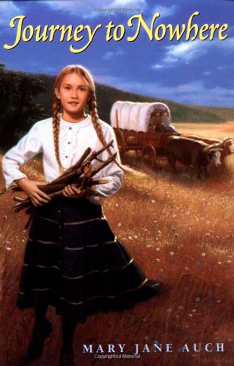 Journey to Nowhere,Used