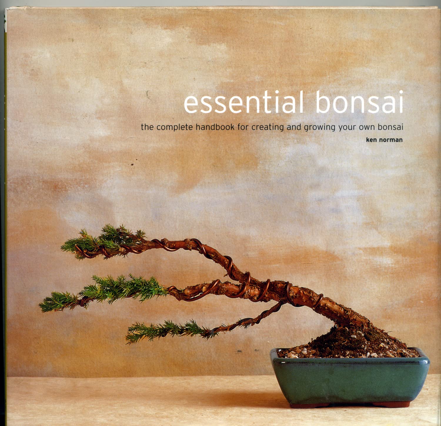 Essential bonsai: The complete handbook for creating and growing your own bonsai,Used
