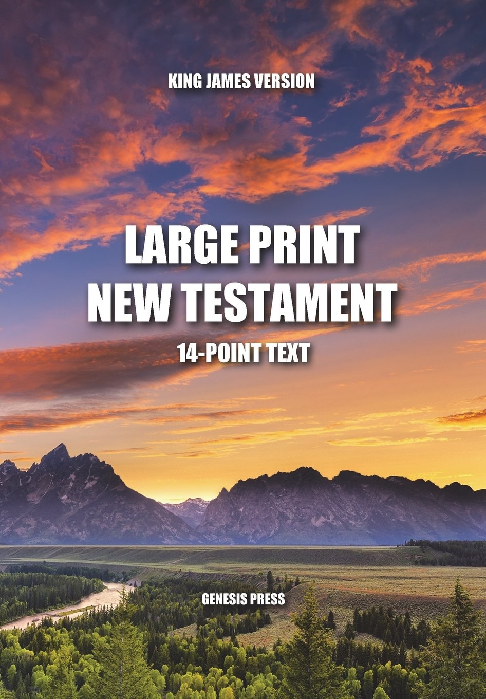 Large Print New Testament: 14Point Text,Used
