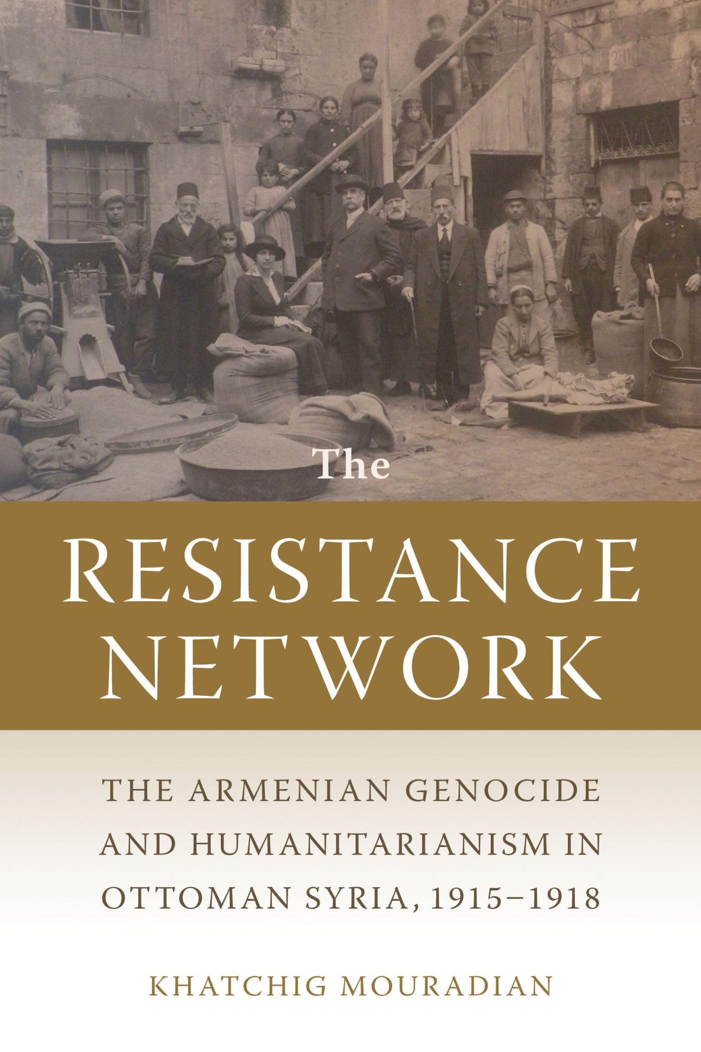 The Resistance Network: The Armenian Genocide and Humanitarianism in Ottoman Syria, 19151918 (Armenian History, Society, and Cu,Used