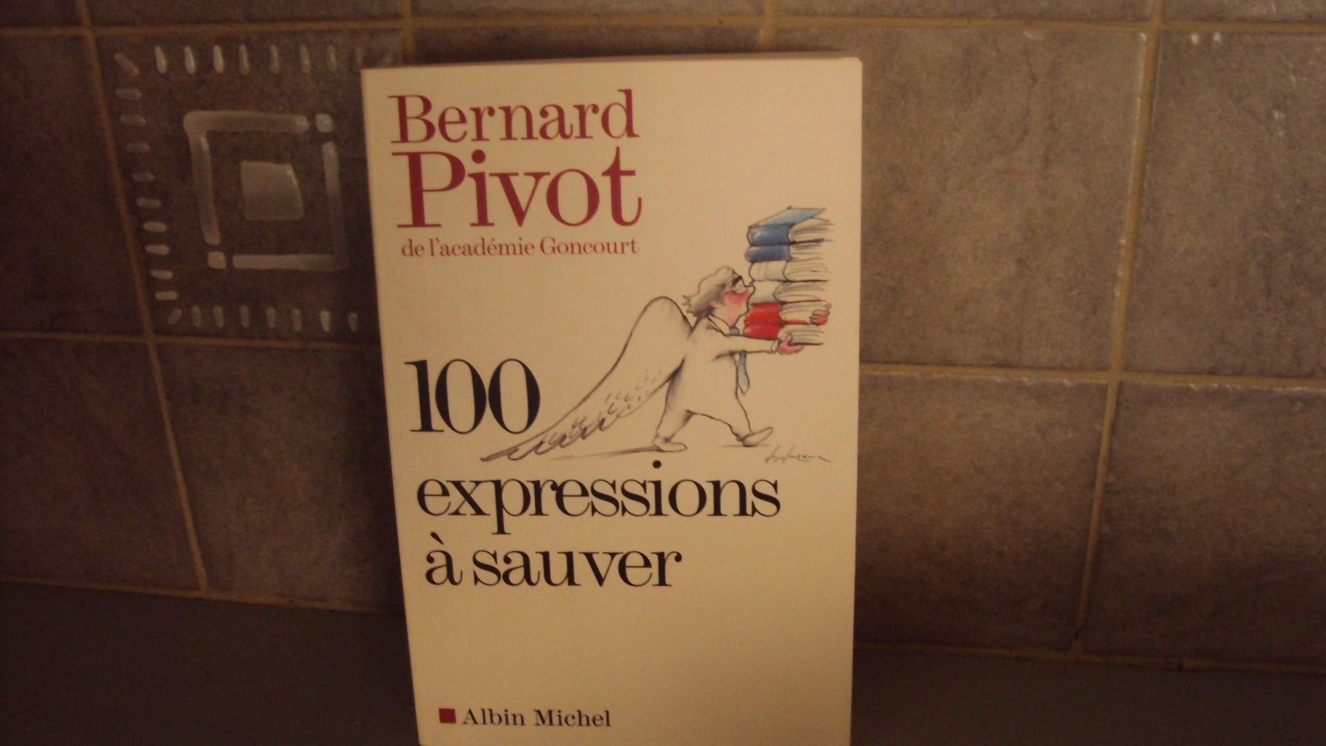 100 Expressions sauver,Used