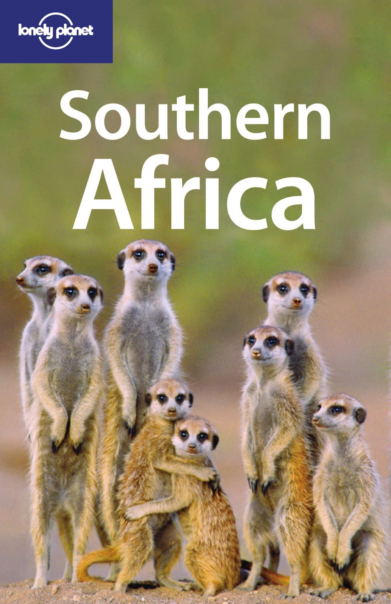 Southern Africa (Lonely Planet Southern Africa),Used