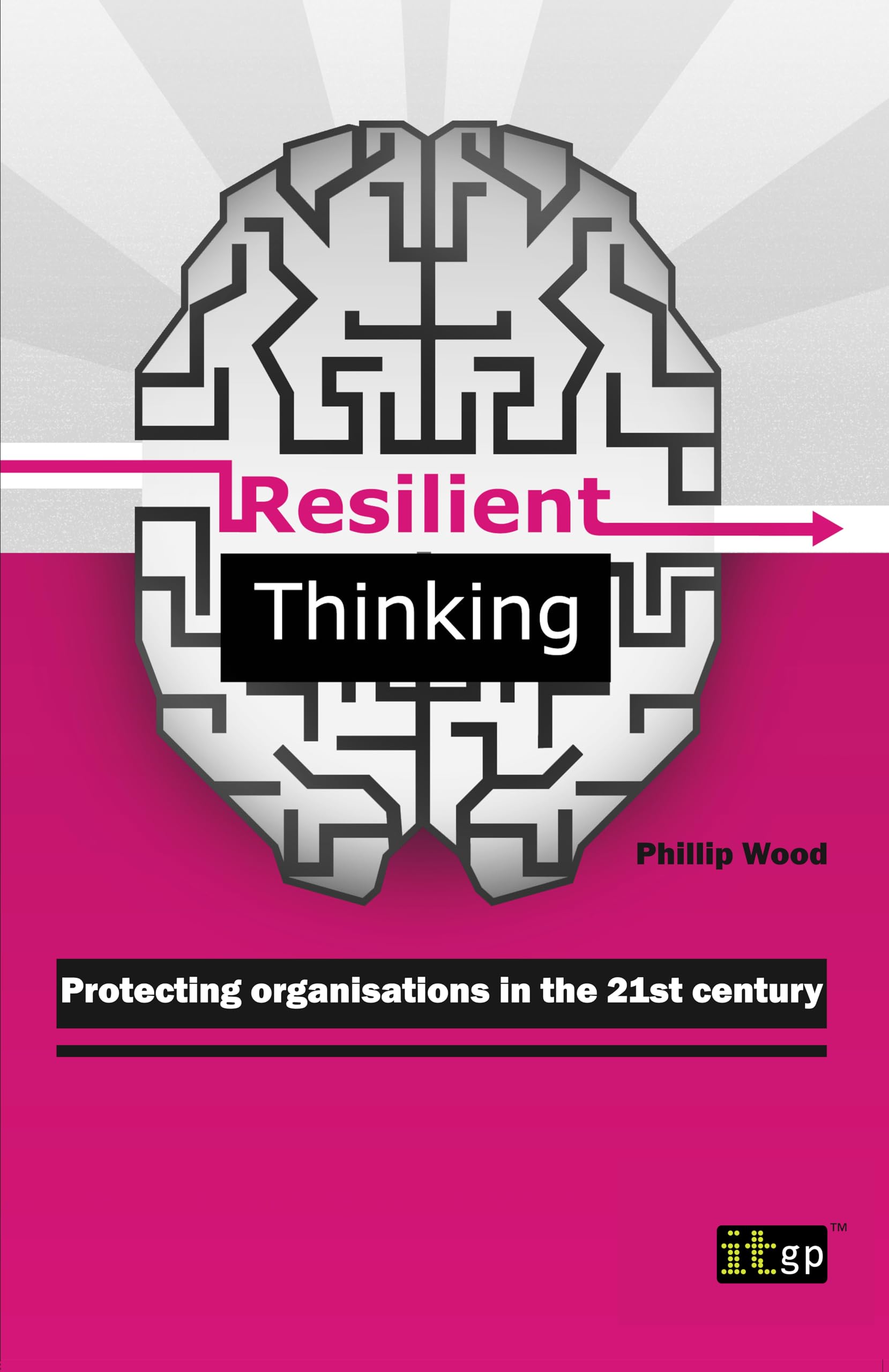 Resilient Thinking: Protecting Organisations In The 21St Century,Used