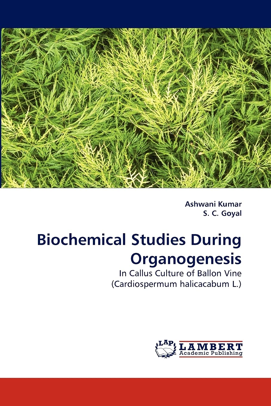 Biochemical Studies During Organogenesis: In Callus Culture of Ballon Vine (Cardiospermum halicacabum L.),Used