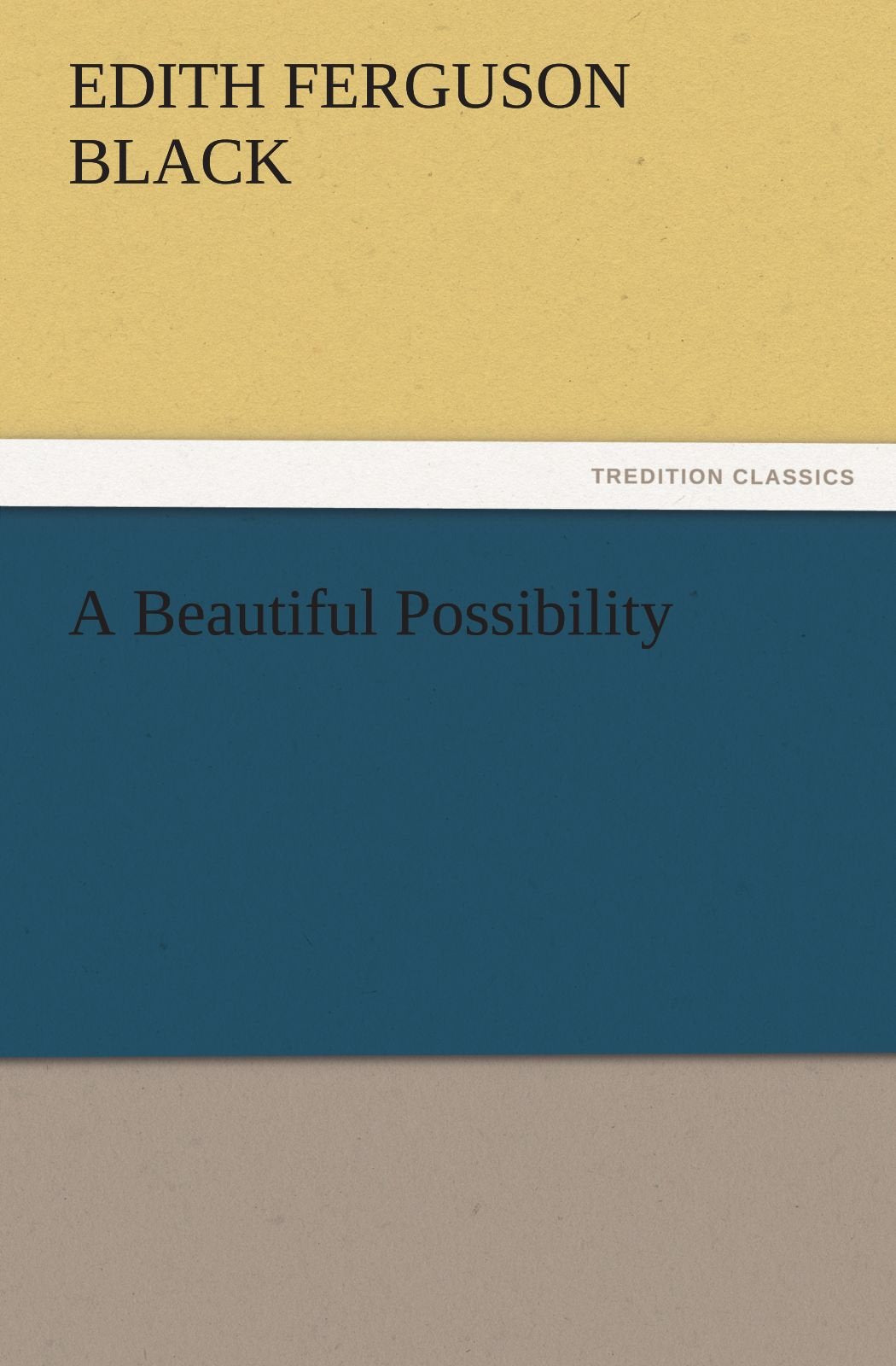 A Beautiful Possibility,Used