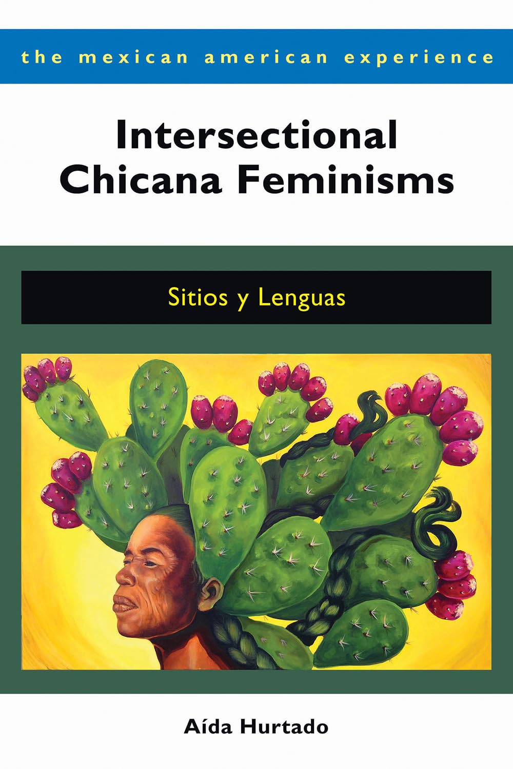 Intersectional Chicana Feminisms: Sitios Y Lenguas (The Mexican American Experience),Used