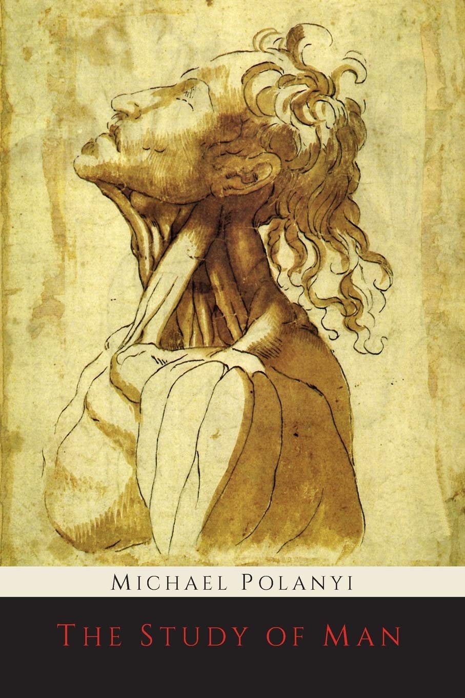 The Study of Man,Used