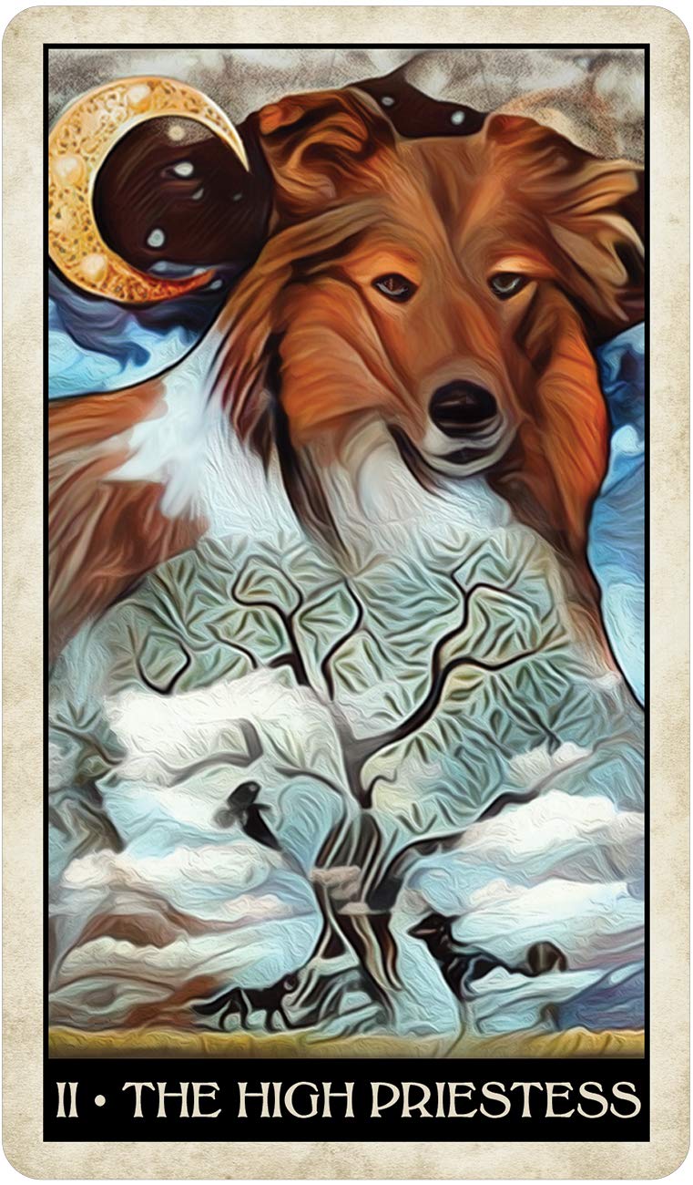 Wise Dog Tarot,New