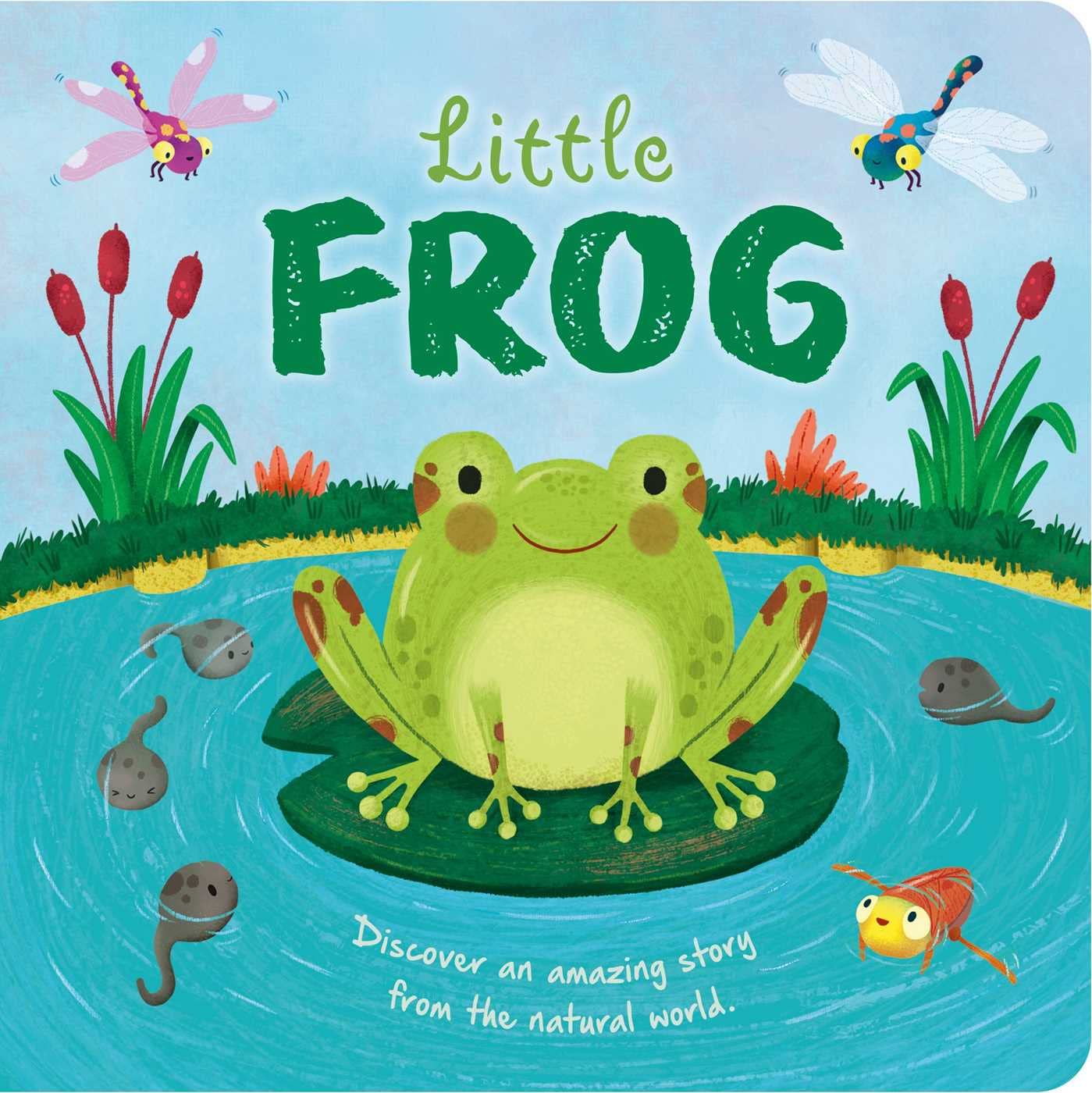 Nature Stories: Little Frogdiscover An Amazing Story From The Natural World: Padded Board Book,New